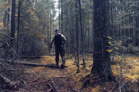 Купить диплом Егеря, лесника в Октябрьском