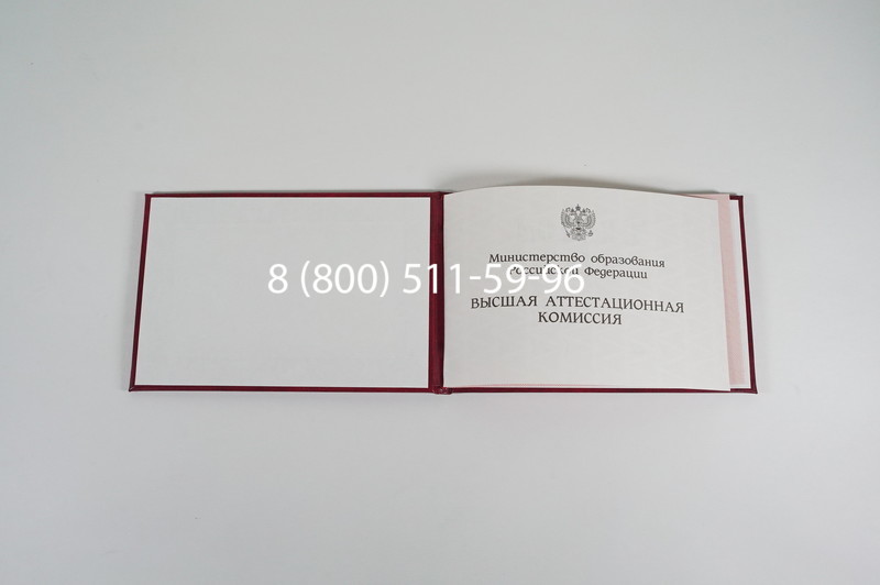 Диплом доктора наук 1995-2006 года в Октябрьском Диплом доктора наук 1995-2006 года в Октябрьском