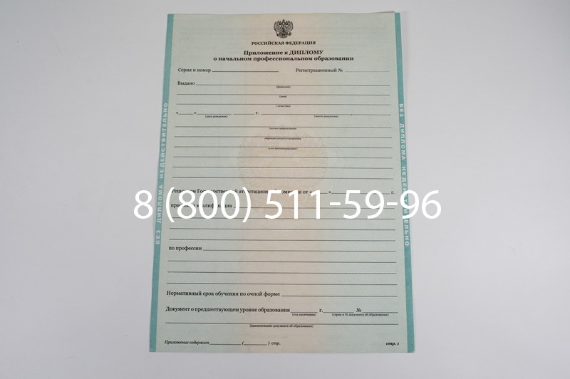 Диплом ПТУ 2014-2024 года в Октябрьском Диплом ПТУ 2014-2024 года в Октябрьском